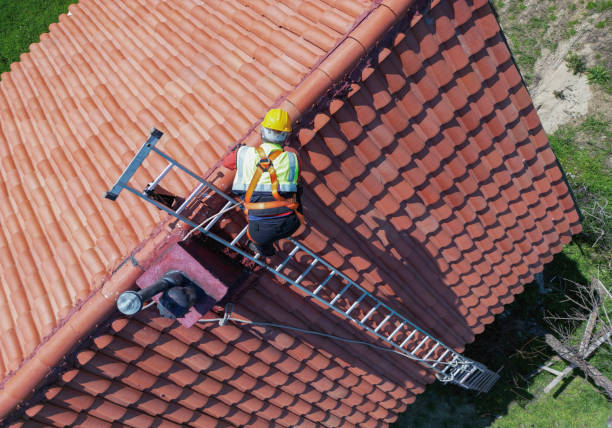 Best Roof Moss and Algae Removal  in Prices Fork, VA